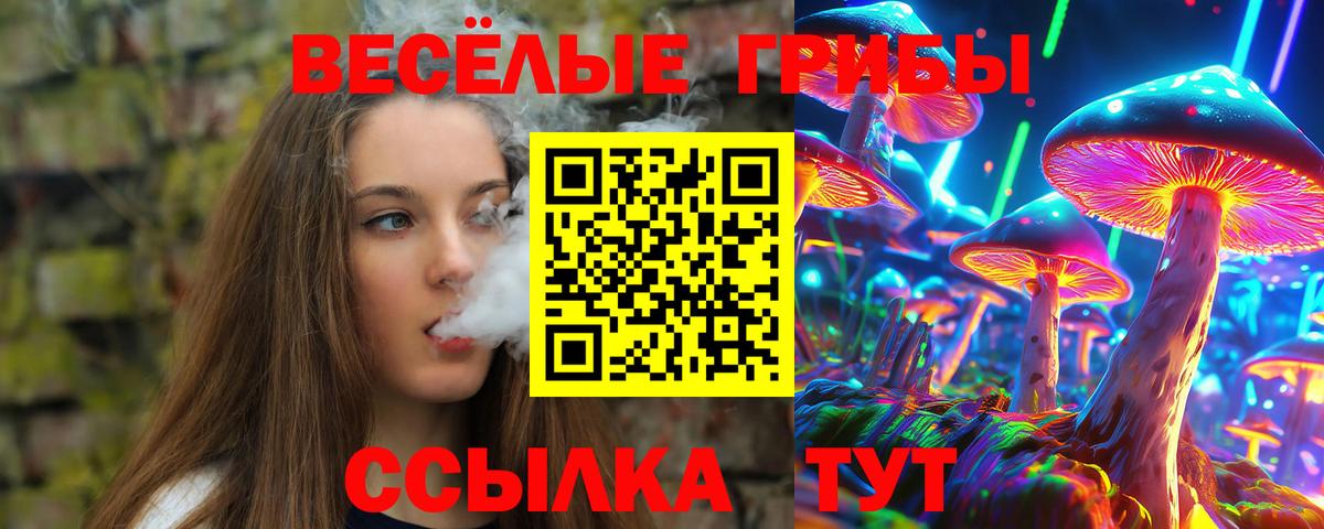 Усолье-Сибирское  Галлюциногенные грибы Cubensis  Галлюциногенные грибы мухоморы  Вход с VPN 